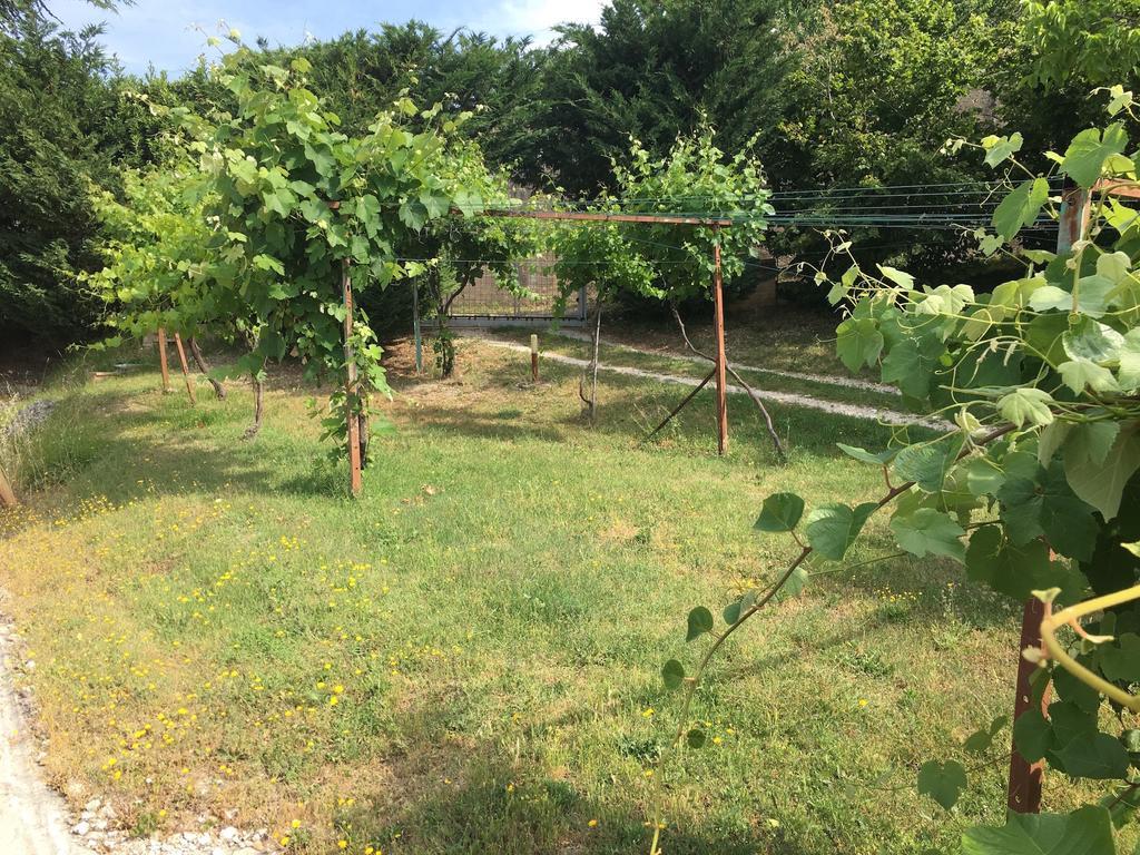 Assisi Villa Randr San Vitale Εξωτερικό φωτογραφία